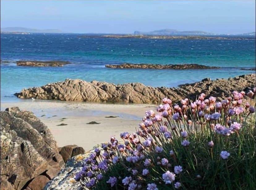Drop Anchor House, Spacious 3 Bedroom Apartment, Fabulous Sea Views Cleggan Exteriér fotografie